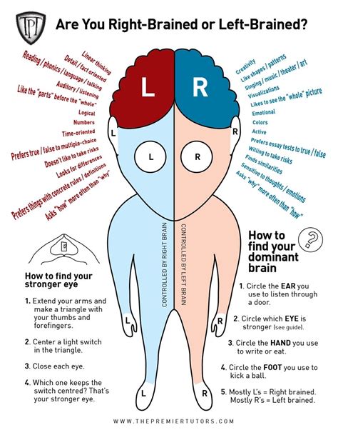 tpt-right-or-left-brain - facts | Right brain, Left vs right brain ...