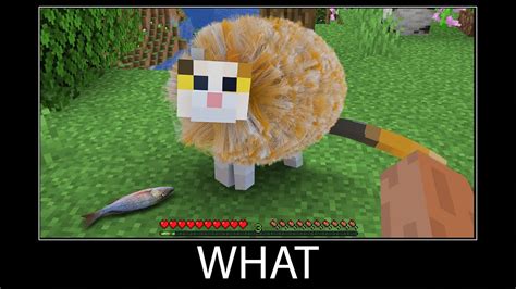 Minecraft wait what meme part 59 realistic minecraft cat - YouTube