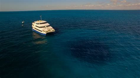 Blue Hole Diving at one of the Best Dive Sites in the Bahamas - All ...