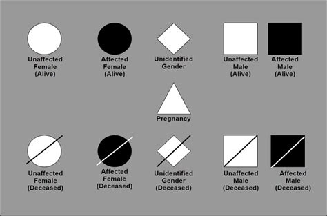 Pedigree Chart Guide: Definition, Symbols & Examples