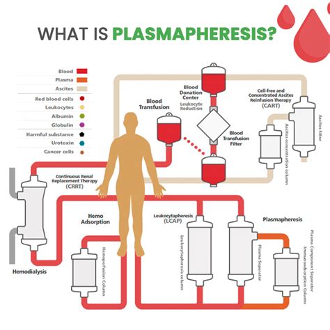 Therapeutic Apheresis - VascuFirst