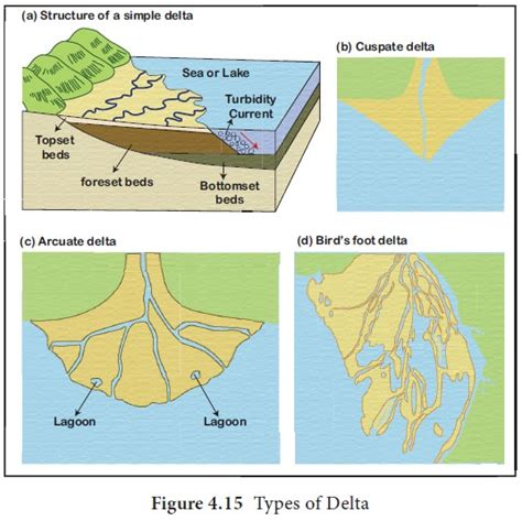 Types of Delta