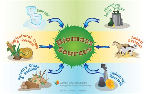 These are some other scources that biomass can come from. | Biomass ...