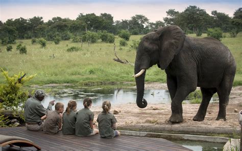 9-day South Africa Family Safari (3 Star) - African Safaris Ltd