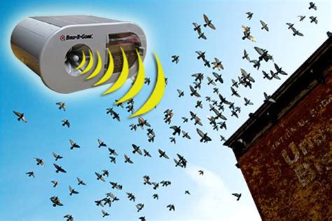 How to keep pest birds away with sound bird deterrents - Bird B Gone, Inc.