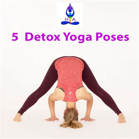 5 Effective Detox Yoga Poses | Learn Yoga Poses for Health | Nepal