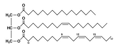 Hydrogenated Oil Structure