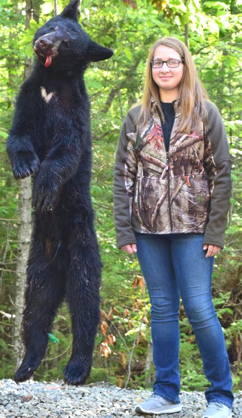 bear-hunt-172501 – Foggy Mountain Guide Service