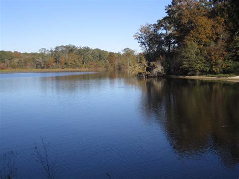 Free stock photo of Ross Barnett Reservoir Mississippi