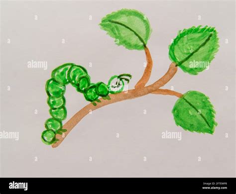 Watercolor worm hi-res stock photography and images - Alamy