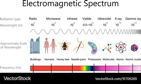 Understanding the Electromagnetic Spectrum – Telegraph