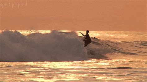 The best animated surfing GIFs ever