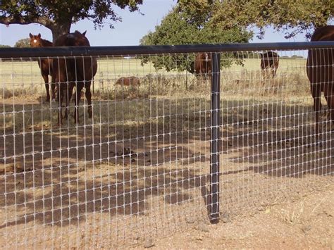 2" X 4" X 48" X 200' HORSE FENCE - DENNARDS