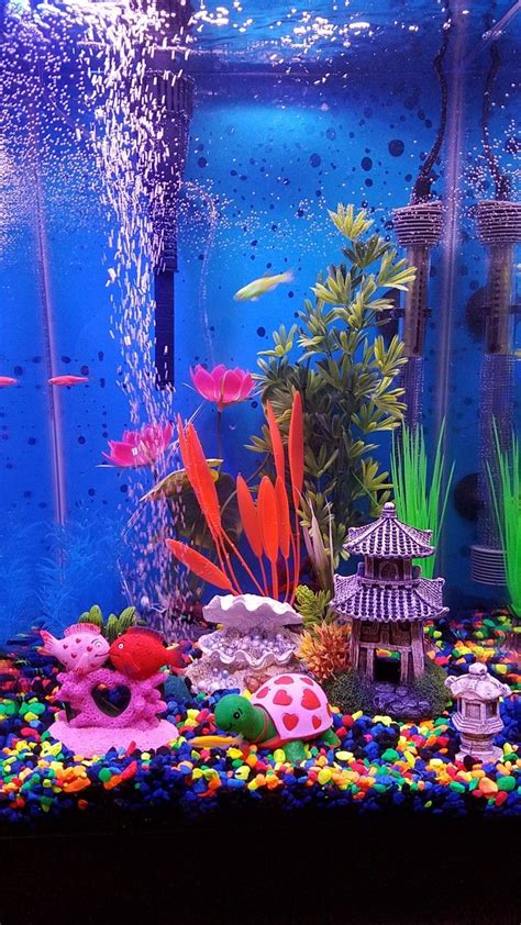 My new aquarium with glo fish | Cool fish tank decorations, Fish tank ...