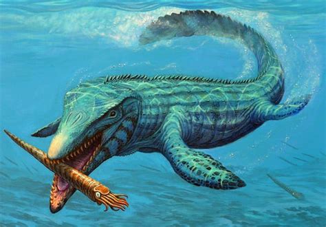 Mosasaurus Pictures & Facts - The Dinosaur Database