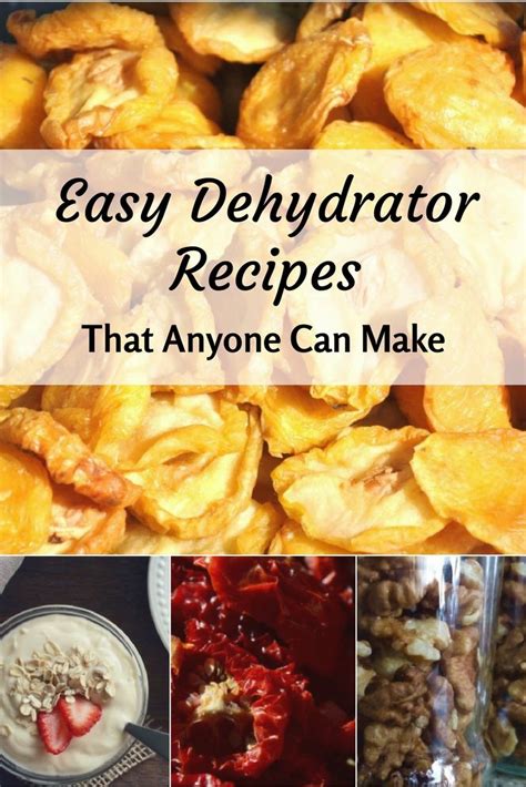 Easy Dehydrator Recipes That Anyone Can Make