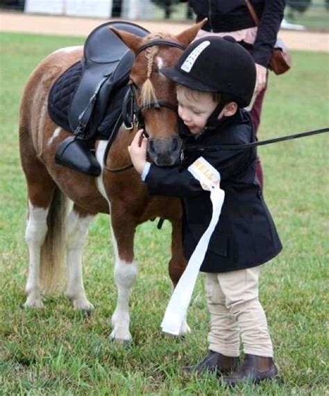 This is very sweet | Horses, Beautiful horses, Cute horses