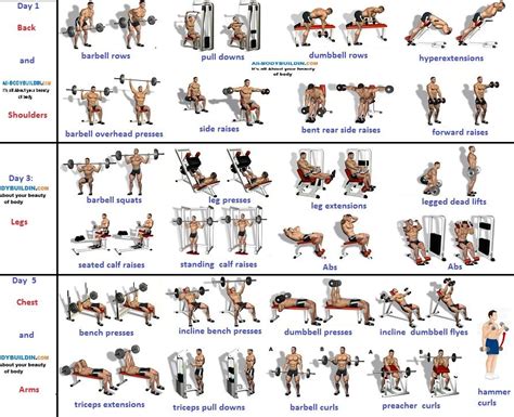 3 day Workout Routines | Lean muscle workout, Barbell workout, Gym ...