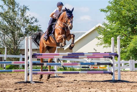 Two Grids to Improve Your Horse’s Jumping Technique | Horses, Horse ...