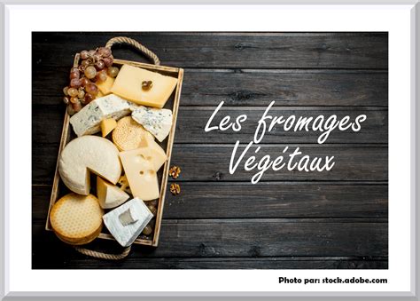 Les fromages végétaux - Recettes sans lactose