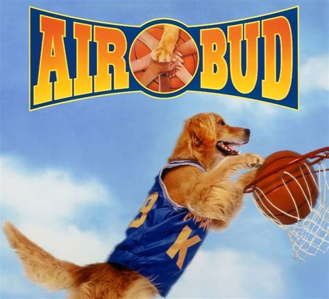 The Story of “Air Bud” and Buddy the Basketball-Playing Golden ...