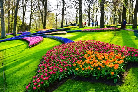 The Beauty of Keukenhof Gardens in The Netherlands - More Chic Life