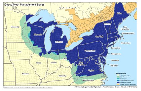 Spongy Moth Quarantine | Minnesota Department of Agriculture