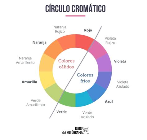 WARM COLORS VS. COLD COLORS: DO YOU KNOW HOW THEY DIFFER?