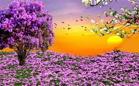 Beautiful Spring Scenery Wallpapers on WallpaperDog