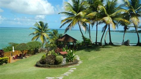 Tocopita - Hosanna Toco Resort | Tobago hotels, Caribbean islands, Resort