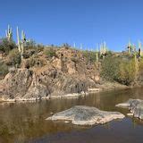 Dragonfly Trail - Arizona | AllTrails