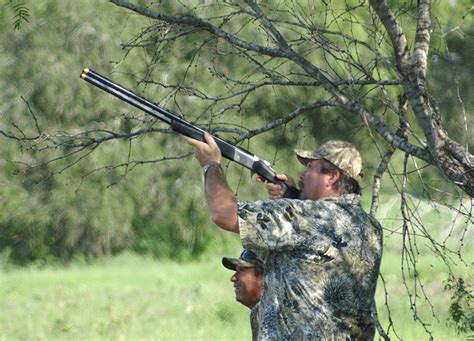 South Texas Quail and Dove Hunt Outfitters, Dove Hunts South Texas ...