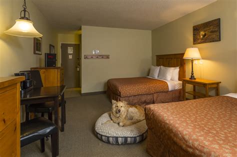 Fernie Pet Friendly Hotel Rooms-BC Canada Lodging | Red Tree Lodge