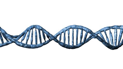 Looped Rotating DNA Strand, Seamless Loop (HD 1080p High Definition ...