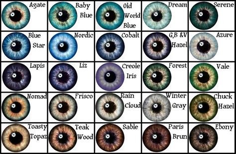 Eye Color Chart from Google Search ... | Eye color chart, Eye color ...