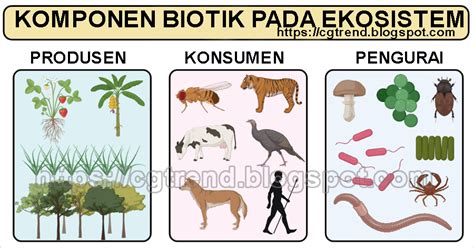 KOMPONEN-KOMPONEN ABIOTIK & BIOTIK DALAM EKOSISTEM - CGTREND