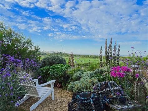 5 tips for creating a coastal garden - Michael Perry - Mr Plant Geek