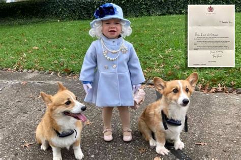 Toddler Dresses As The Queen — Complete With Corgis — Queen Sends Her a ...