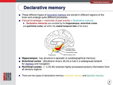 Declarative memory