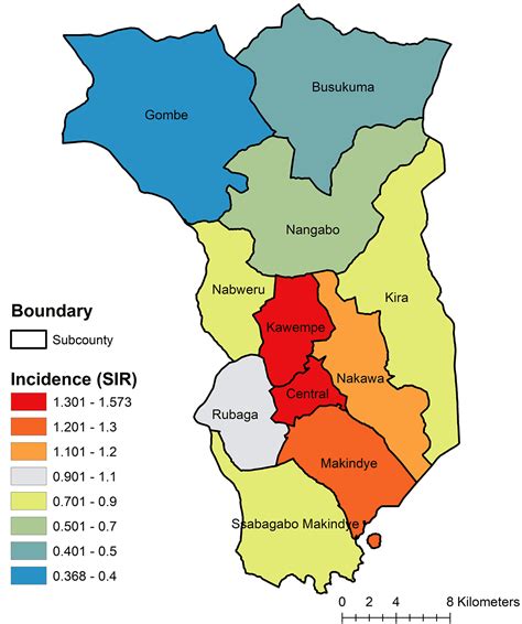 High-resolution disease maps for cancer control in low-resource ...