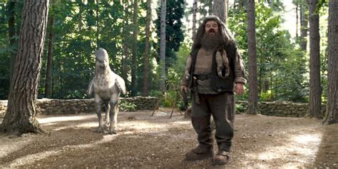 The Extraordinary Origins of Hagrid's Beloved Pets: Unveiling the ...