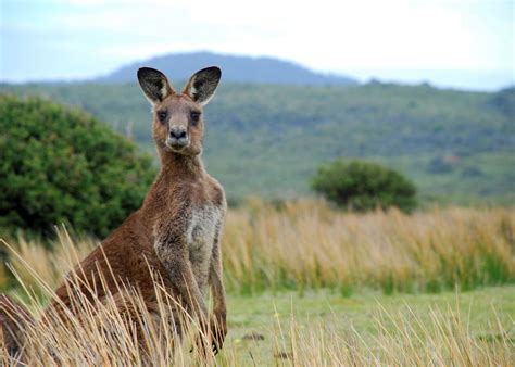 In The Outback Zusammenfassung : Leadership Lessons From the Outback ...