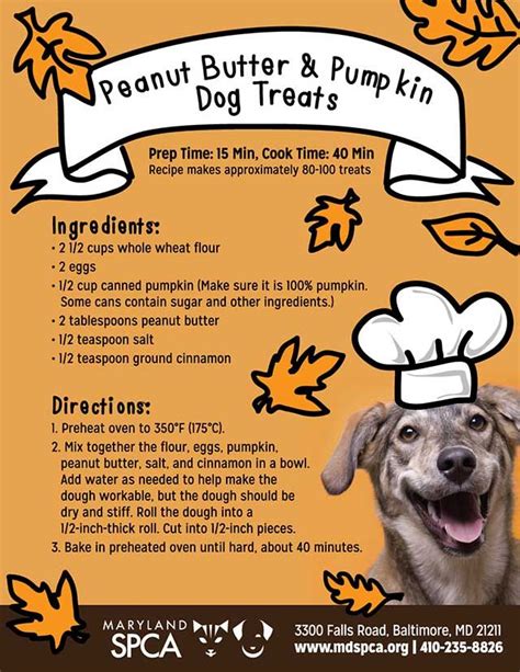 7 Benefits of Pumpkin for Dogs | Pumpkin dog treats, Homemade dog, Dog ...