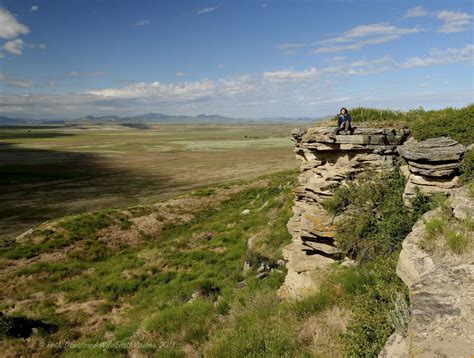 Buffalo Jump into the Sacred — WildEarthVisions