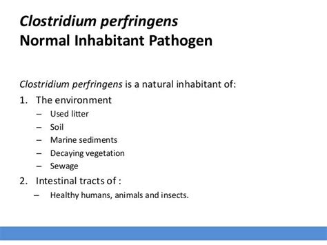 Clostridia Infection