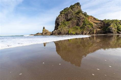 Piha Beach, Auckland NZ : pics