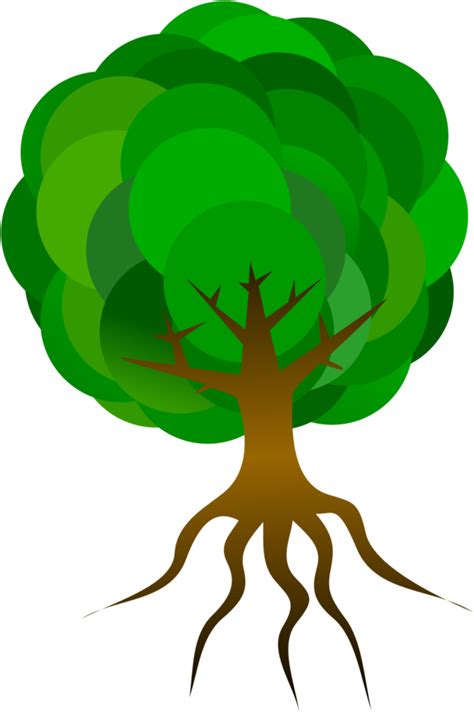 Cartoon Tree Roots - ClipArt Best