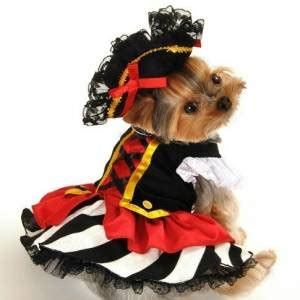 Yorkie Dog Halloween Costumes - Yorkie.Life