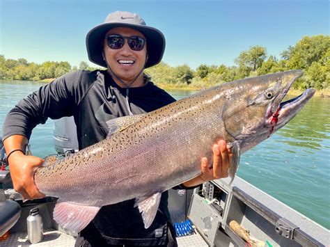 Sacramento River - Lower Fish Report - Redding, CA (Shasta County)