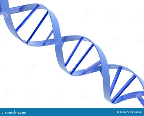 Dna helixes stock illustration. Illustration of biomedical - 8317377